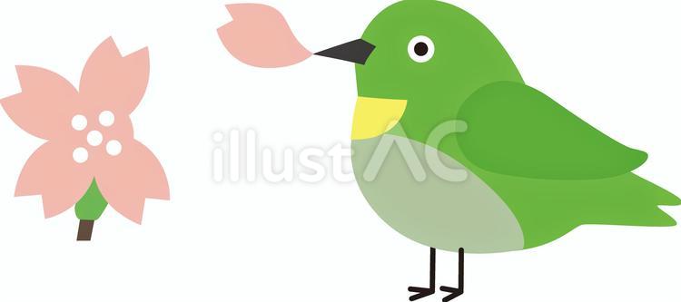 メジロと桜 桜,メジロ,鳥のイラスト素材