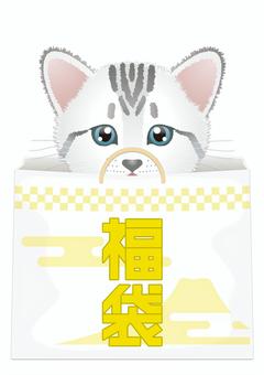 幸運袋 Nya <Hatsuyume ver.> 幸運袋 Nya <Hatsuyume ver.>