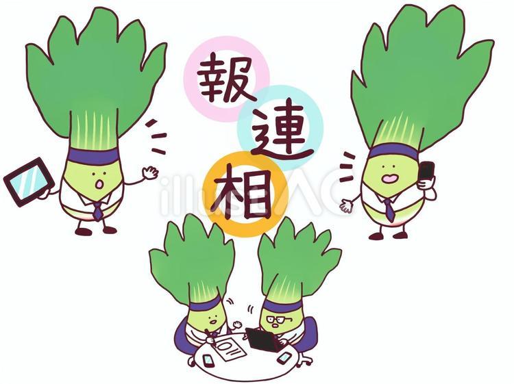 ほうれん草の報連相 報連相,ほうれん草,ビジネスのイラスト素材