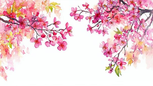 Spring flower frame-04, JPG Spring flower frame-04, ढांचा, ढांचा, फूल, JPG