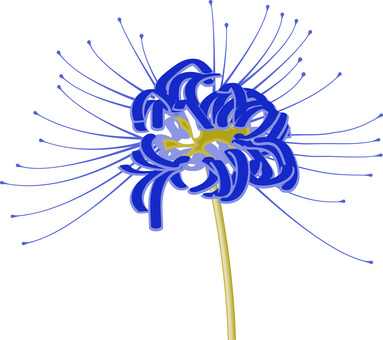 青い彼岸花 彼岸花,花,咲く,きれい,鮮やか,秋,植物,青い,リアルのイラスト素材