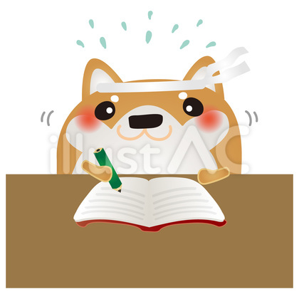 柴犬受験勉強
