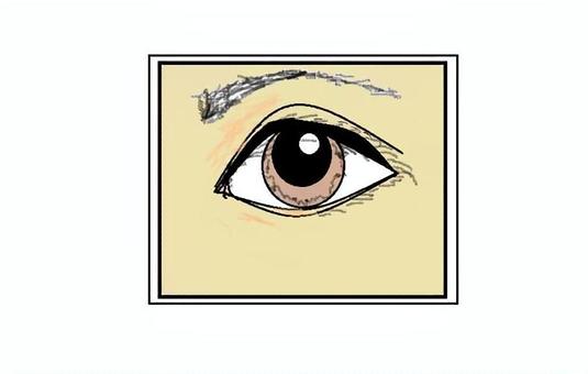 目 目,睫,眉,瞳孔,デジタル画のイラスト素材