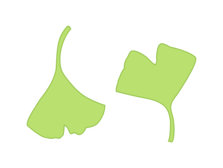 Ginkgo leaves (yellow-green), JPG, PNG and AI Ginkgo leaves (yellow-green), , JPG, PNG and AI