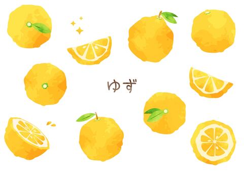 水彩風のゆずのイラストセット ゆず,食べ物,セット,冬至,冬,かわいい,シンプル,果物,果実,水彩風のイラスト素材