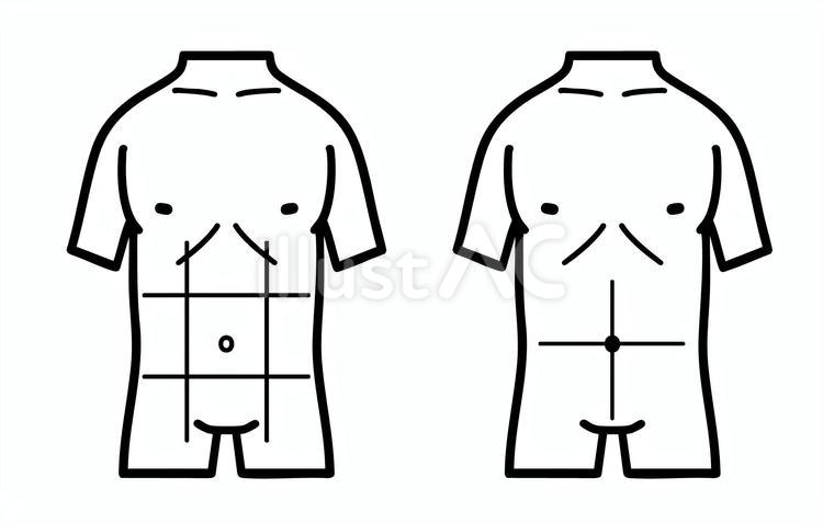 腹部の区分図、9区分と4区分の線画 腹部,人体,区分のイラスト素材