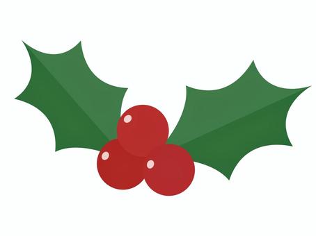 ヒイラギの葉と実 ヒイラギの葉と実 ヒイラギ,柊,実,赤,赤い,葉,クリスマス,植物,かわいい,ポップのイラスト素材