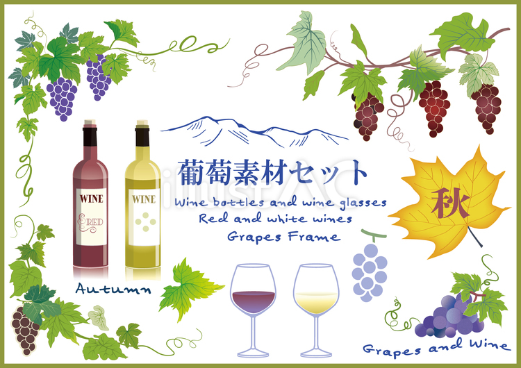 葡萄素材セット ぶどう,ワイン,手描きのイラスト素材