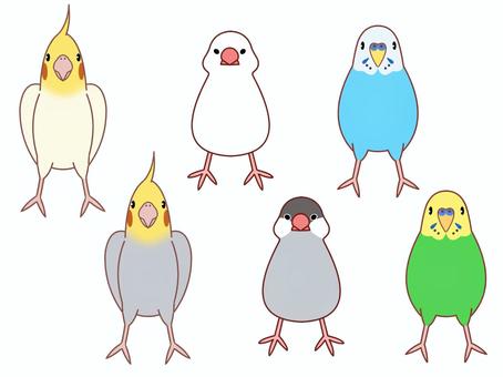 Illustration, bird, birdie, sentenced bird, 