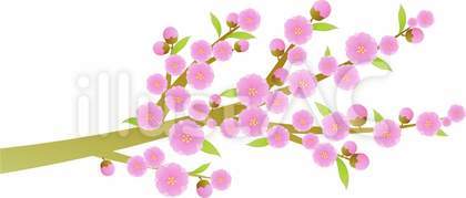 桃の花