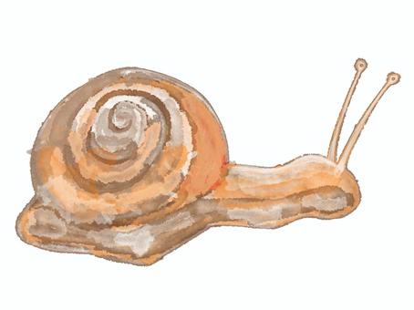 Illustration, snail, rainworm, mollusk, 