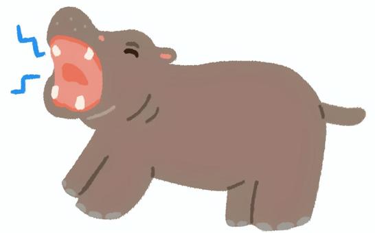 大きな口を開けている可愛らしいカバ 大きな口を開けている可愛らしいカバ カバ,あくび,動物,動物園,開ける,口,大声,吠える,叫ぶ,シンプルのイラスト素材