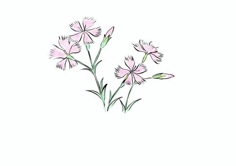 Nadeshiko淺粉紅色, 抚子, 花, 春天, JPG 和 AI