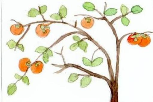 柿の木 手描き,水彩画,柿の木,秋,オレンジ色,緑色のイラスト素材