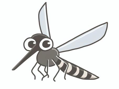 蚊　白フチあり 蚊,感染症,夏,虫さされ,フィラリア症,mosquito,デング熱,日本脳炎,マラリア,虫のイラスト素材