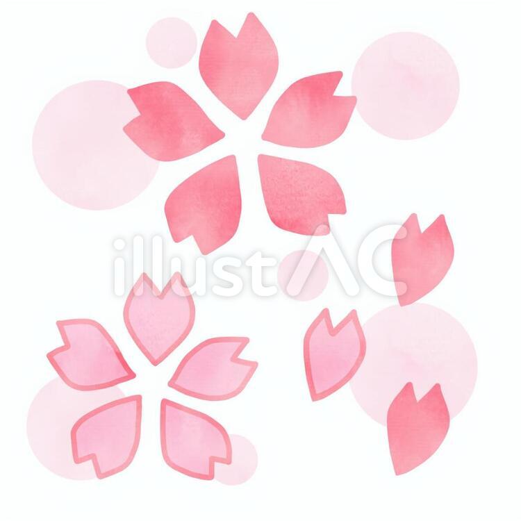 桜の花セット2（背景水玉） 桜,花,花びらのイラスト素材
