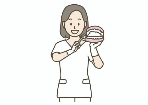 歯磨き指導をする歯科衛生士 歯科衛生士,歯,歯医者,歯科,ブラッシング,歯磨き,医療,説明,教育,保健のイラスト素材
