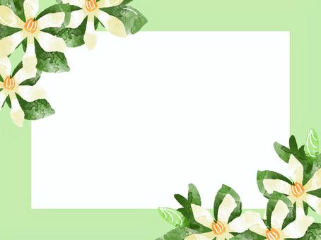 Illustration, fleurs, cadre, gardenia, 