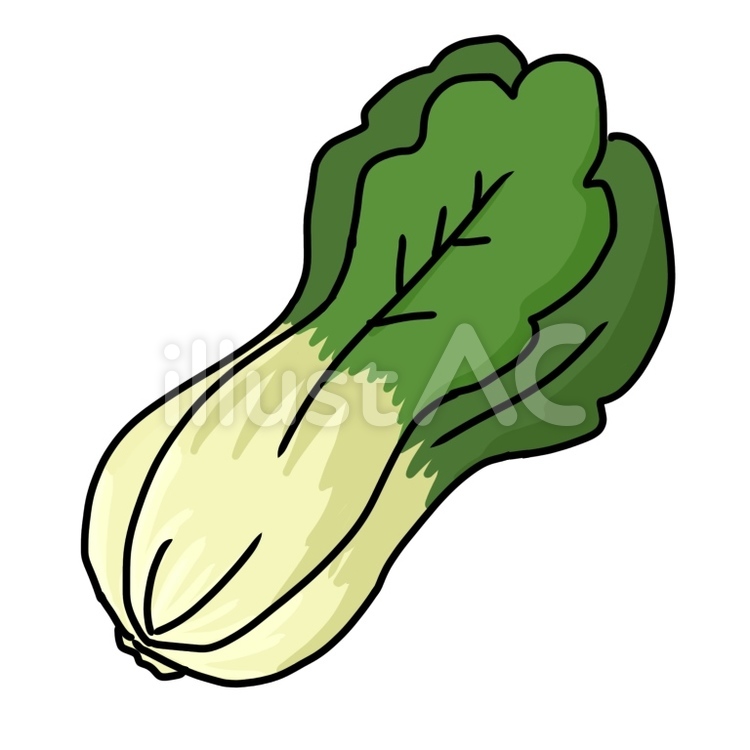 ちんげんさいのイラスト ちんげんさい,野菜,食べ物のイラスト素材