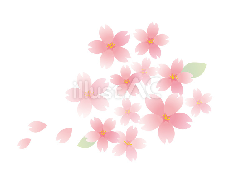 桜フレーム　2 さくら,春,花びらのイラスト素材
