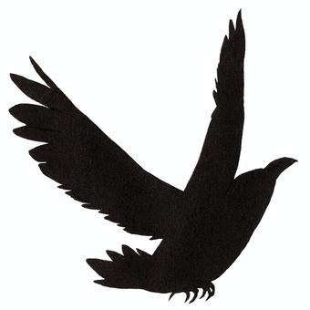 Crow 3, JPG and PNG Crow 3, crow, bird, creatures, JPG and PNG
