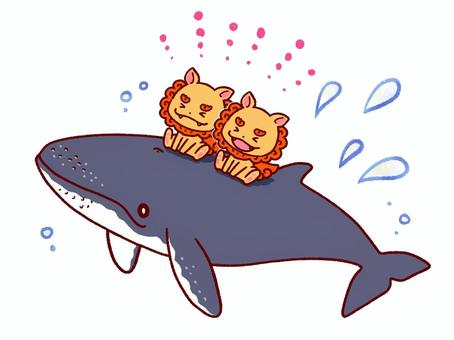 シーサーとザトウクジラ 沖縄,キャラクター,シーサー,守り神,獣像,置き物,動物,海,ザトウクジラ,くじらのイラスト素材