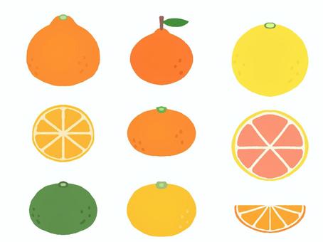 Illustration, JPG, PNG and EPS Illustration, 邁肯, 柚子, kabosu, JPG, PNG and EPS
