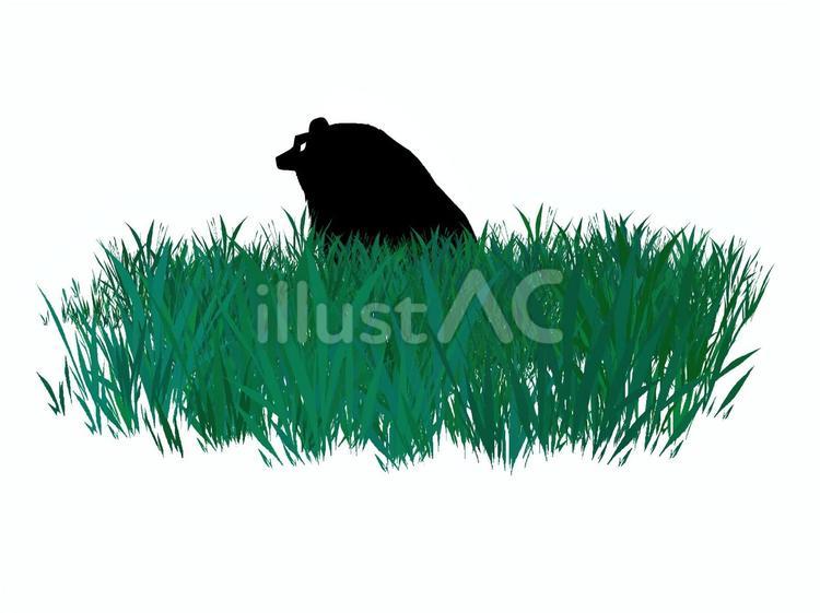 草むらに佇む熊 ベアー,野生動物,熊のイラスト素材