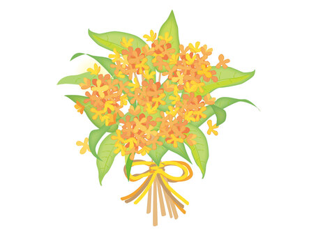金木犀_花束 花,金木犀,花束,かわいい,秋,ブーケ,リボン,葉,プレゼント,贈り物のイラスト素材