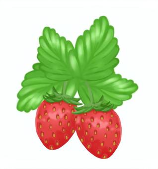 手書きのいちごワンポイント