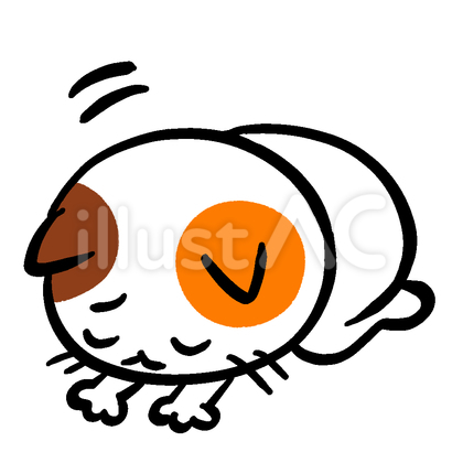 ごめん猫 横向き 三毛
