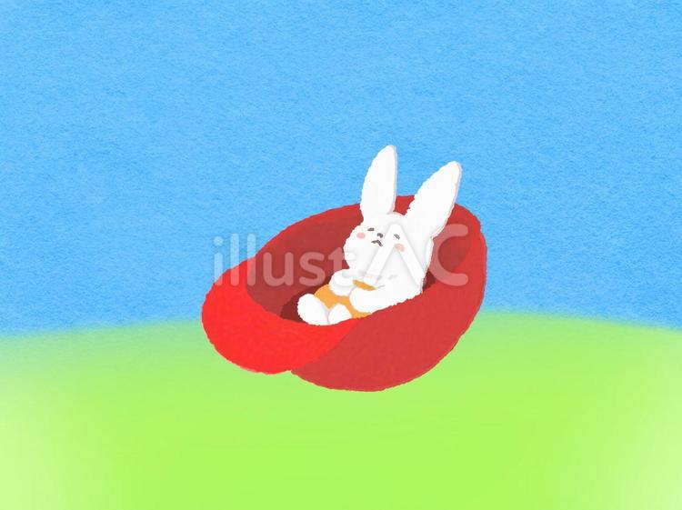帽子の中で寝るうさぎ うさぎ,白,寝るのイラスト素材