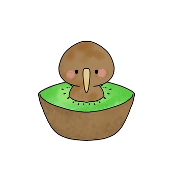 kiwi in kiwi, kiwi, kiwi, cute, JPG and PNG