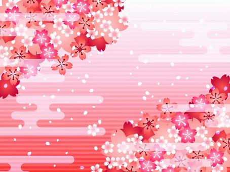 Sakura 109, cherry blossoms, flower, cherry blossoms, JPG and AI