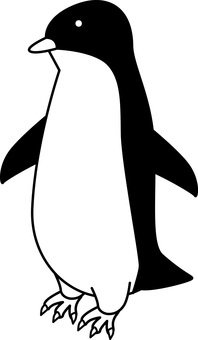 Illustration, penguin, birds, antarctica, 