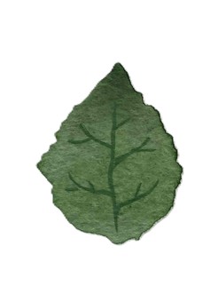 水彩葉っぱ　グリーン 水彩,水彩画,葉っぱ,葉,植物,緑,グリーン,自然,モチーフ,リーフのイラスト素材