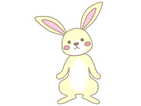 Usagi 2, rabbit, rabbit, animal, JPG