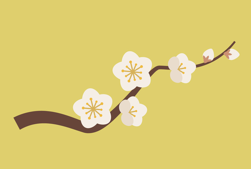 梅の花枝_白梅 梅,梅の花,枝,花,白,蕾,つぼみ,迎春,新春,初春のイラスト素材