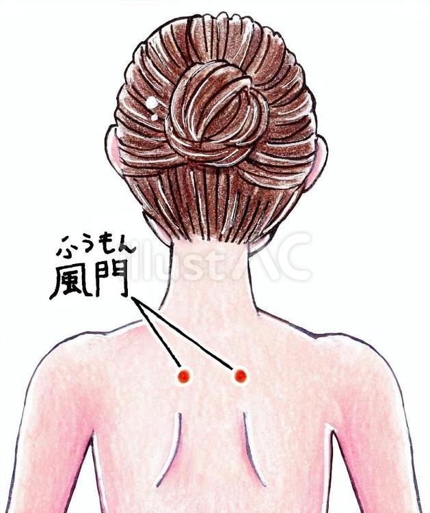 風門（ふうもん） 風門,女性,背中のイラスト素材