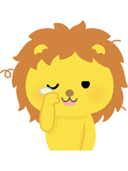 ライオン寝起き ライオン,眠い,寝起き,涙目,獅子,百獣の王,動物,ネコ科,猛獣のイラスト素材