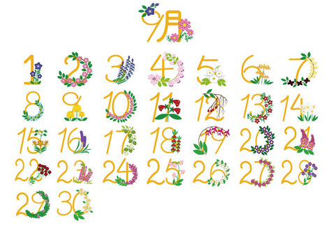 ９月の花と数字 花,数字,シンプル,植物,素材,９月,桔梗,コスモスのイラスト素材
