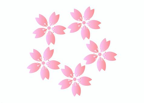 ピンクのグラデーションの桜の花のアイコン
