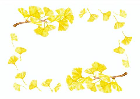 Illustration, ginkgo biloba, branch, frame, JPG and PNG