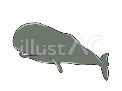 クジラ アイコン