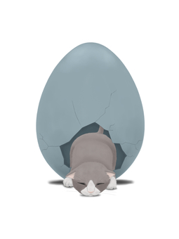 From the egg ..., JPG From the egg ..., cat, egg, baby, JPG