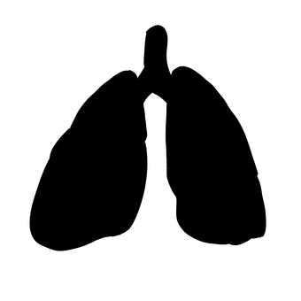肺のシルエット 肺,臓器,シルエット,影,医療のイラスト素材