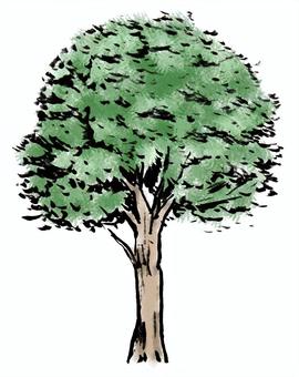 榎の木 筆描き,墨絵,榎,木,自然,緑,水墨画,植物のイラスト素材