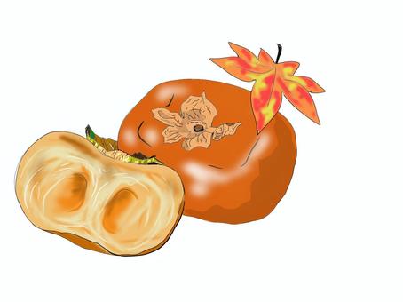 柿 柿,秋,果物,オレンジ色,渋,リアル,おしゃれ,フルーツのイラスト素材