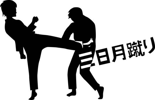 空手三日月蹴り 空手,三日月蹴り,攻撃,技,格闘技,動き,動作,選手,男子,シルエットのイラスト素材
