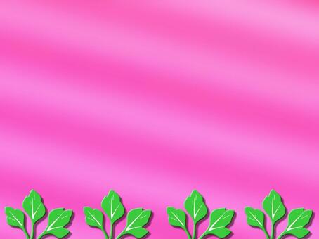 POPや広告やポストカード素材の背景画像 pop,広告,ポストカード,ピンク,背景,緑色,葉っぱ,イラスト,コピースペース,テキストスペースのイラスト素材